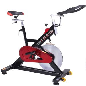 Indoor Cycling Sp8100 Professionelles WiFI Bluetooth mit App i Bike + Schwungrad 26 kg